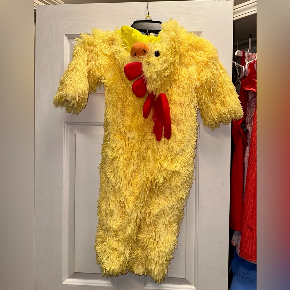 Hyde & Eek fuzzy chicken costume 🐔🎃